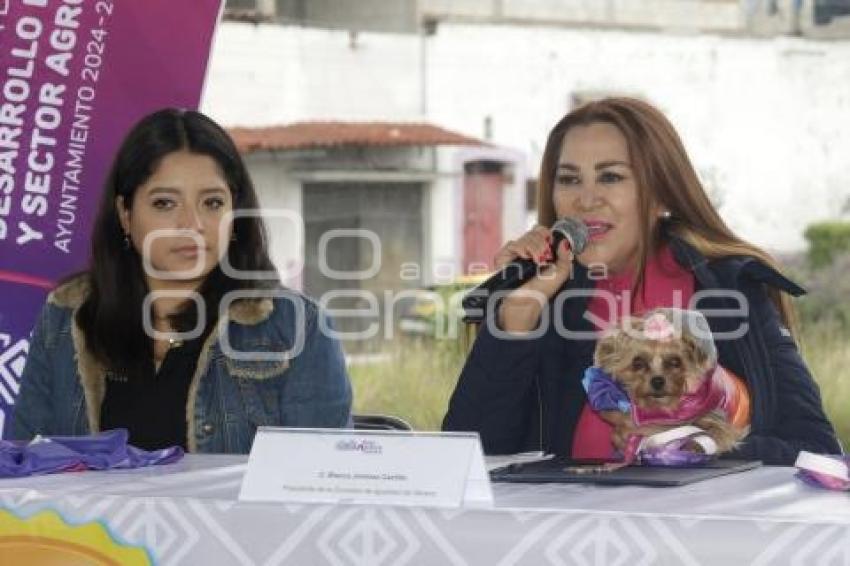SAN ANDRÉS CHOLULA . PRIMERA CARRERA CANINA
