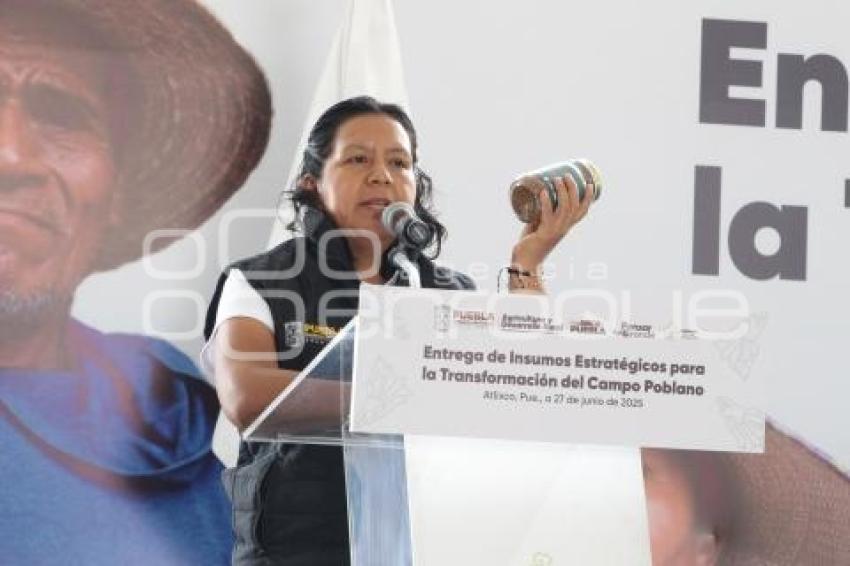 ANA LAURA ALTAMIRANO