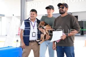 TLAXCALA . MÓDULO ADOPCIÓN CANINA