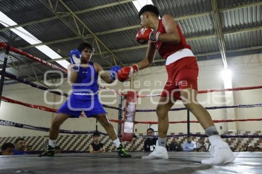 BOX . LA NUERA