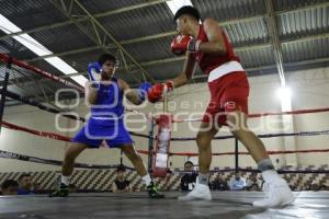 BOX . LA NUERA