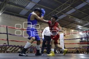 BOX . LA NUERA