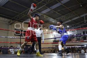 BOX . LA NUERA