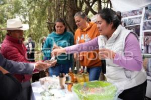 TLAXCALA . EJIDAL ANDRÉS AHUASHUATEPEC