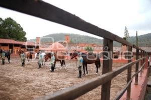 TLAXCALA . 5TO REGIMIENTO CABALLERÍA