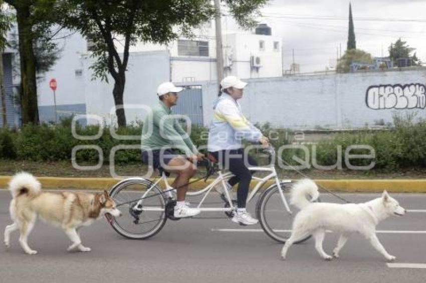 VÍA RECREATIVA METROPOLITANA