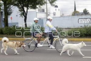 VÍA RECREATIVA METROPOLITANA