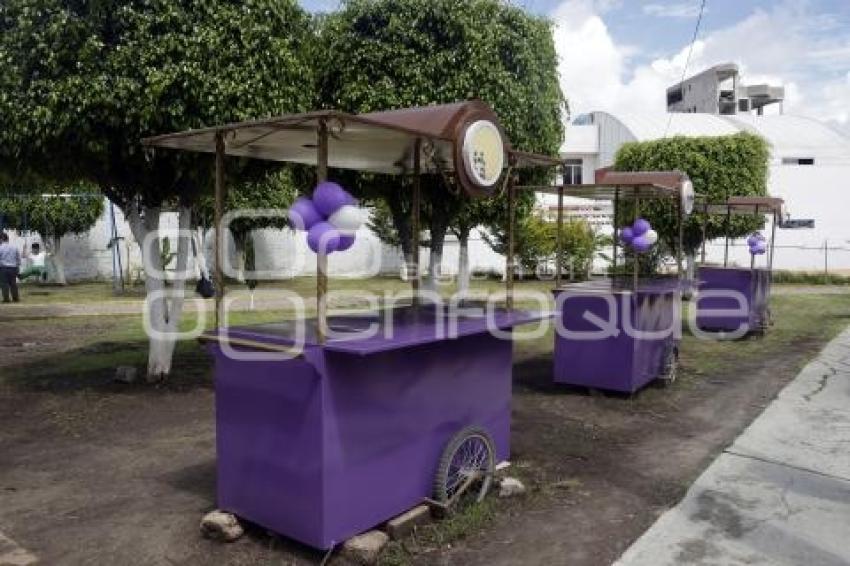 SAN ANDRÉS CHOLULA . APROPIACIÓN VIOLETA