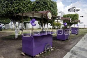 SAN ANDRÉS CHOLULA . APROPIACIÓN VIOLETA