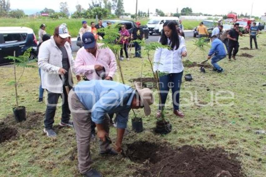 ATLIXCO . FAENA COMUNITARIA