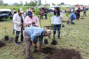 ATLIXCO . FAENA COMUNITARIA