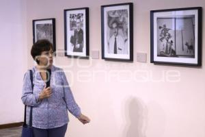 EXPOSICIÓN FOTOGRÁFICA . HERMANOS MAYO
