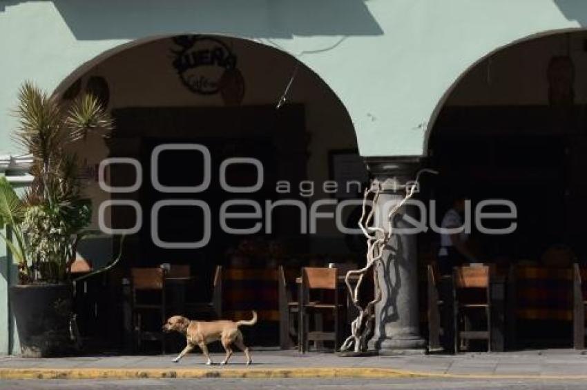 TLAXCALA . DÍA MUNDIAL ZOONOSIS