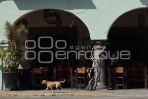 TLAXCALA . DÍA MUNDIAL ZOONOSIS