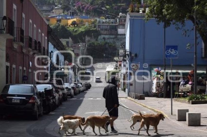 TLAXCALA . DÍA MUNDIAL ZOONOSIS