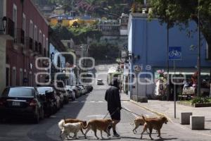 TLAXCALA . DÍA MUNDIAL ZOONOSIS