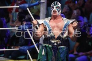 LUCHA LIBRE