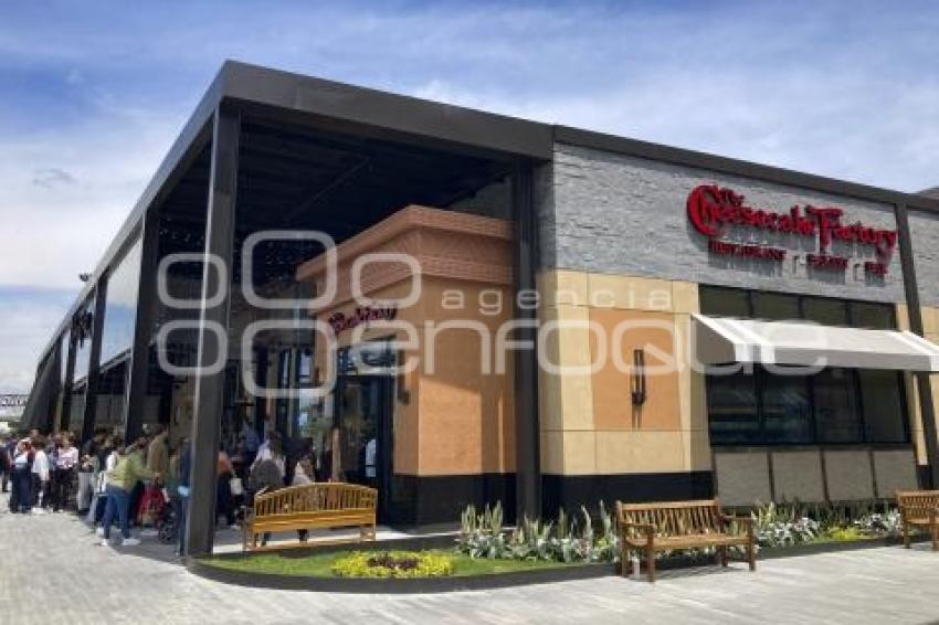 RESTAURANTE . FRANQUICIA