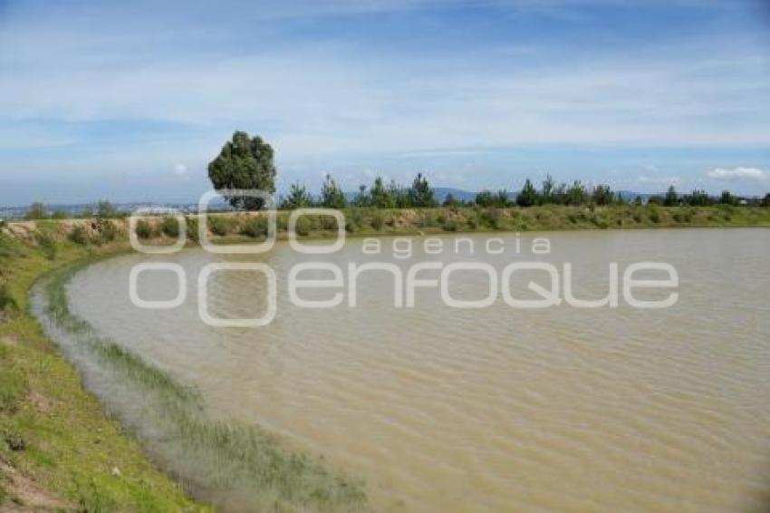 TLAXCALA . JAGÜEY CUAXINCA