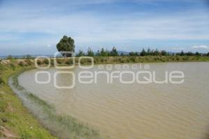 TLAXCALA . JAGÜEY CUAXINCA