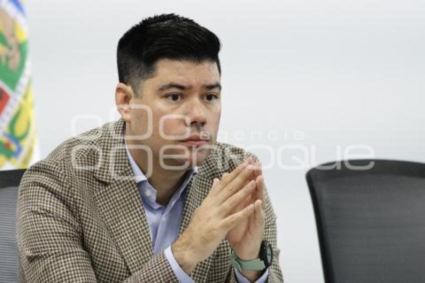 JAIME NATALE