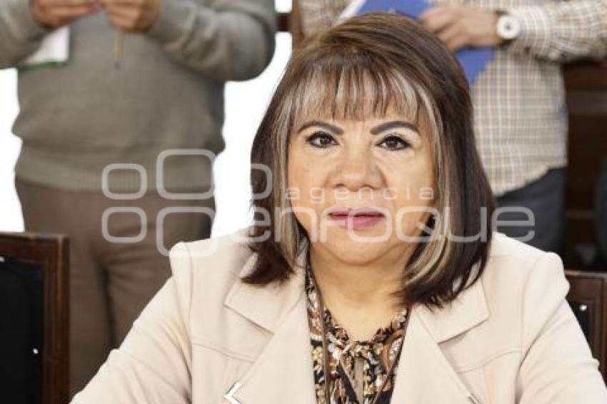 REGIDORES . COMISIÓN DE PROTECCIÓN CIVIL