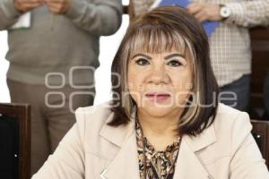 REGIDORES . COMISIÓN DE PROTECCIÓN CIVIL