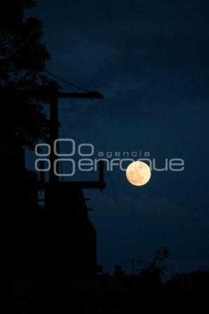 TLAXCALA . LUNA