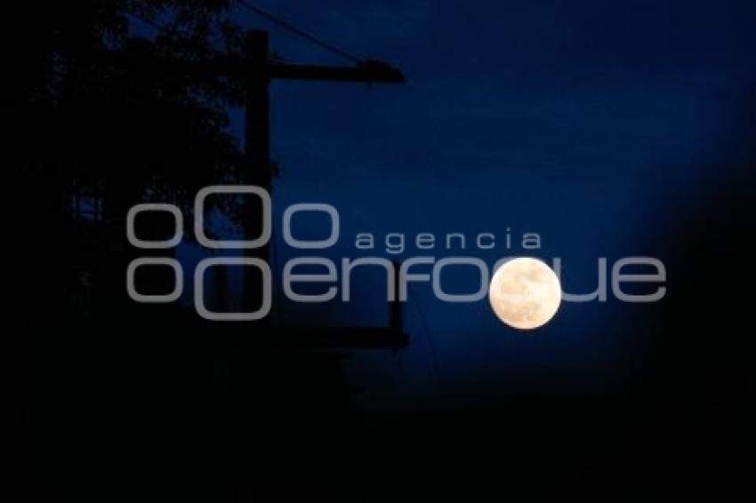 TLAXCALA . LUNA