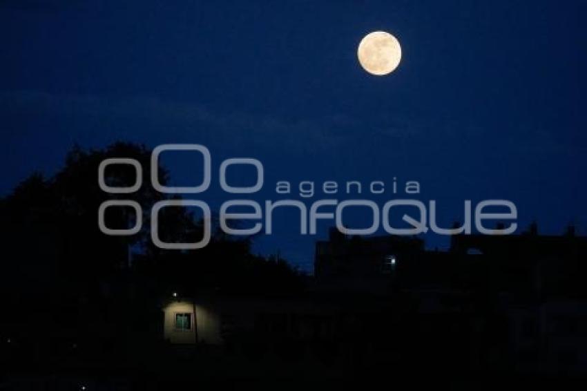TLAXCALA . LUNA