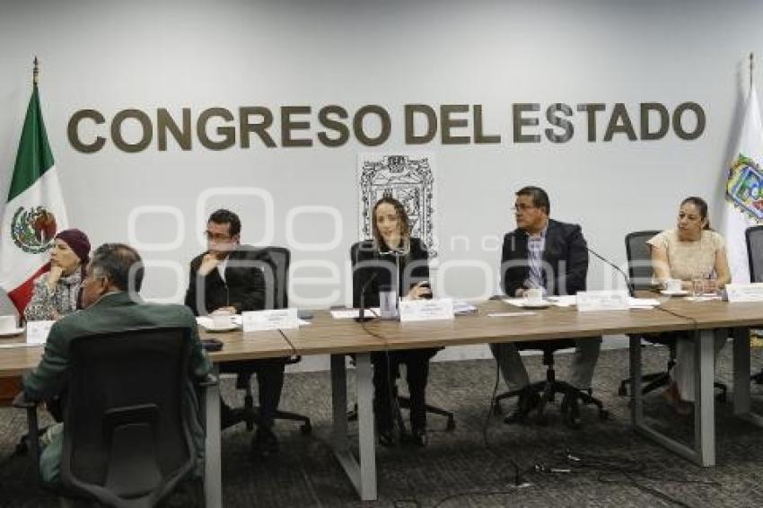 CONGRESO . COMISIONES UNIDAS