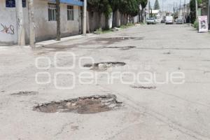 BACHES 