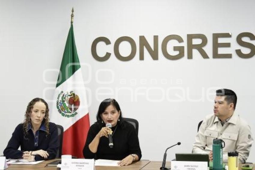 CONGRESO . COMISIÓN DE LA FAMILIA
