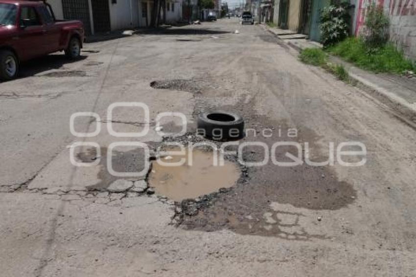 BACHES 