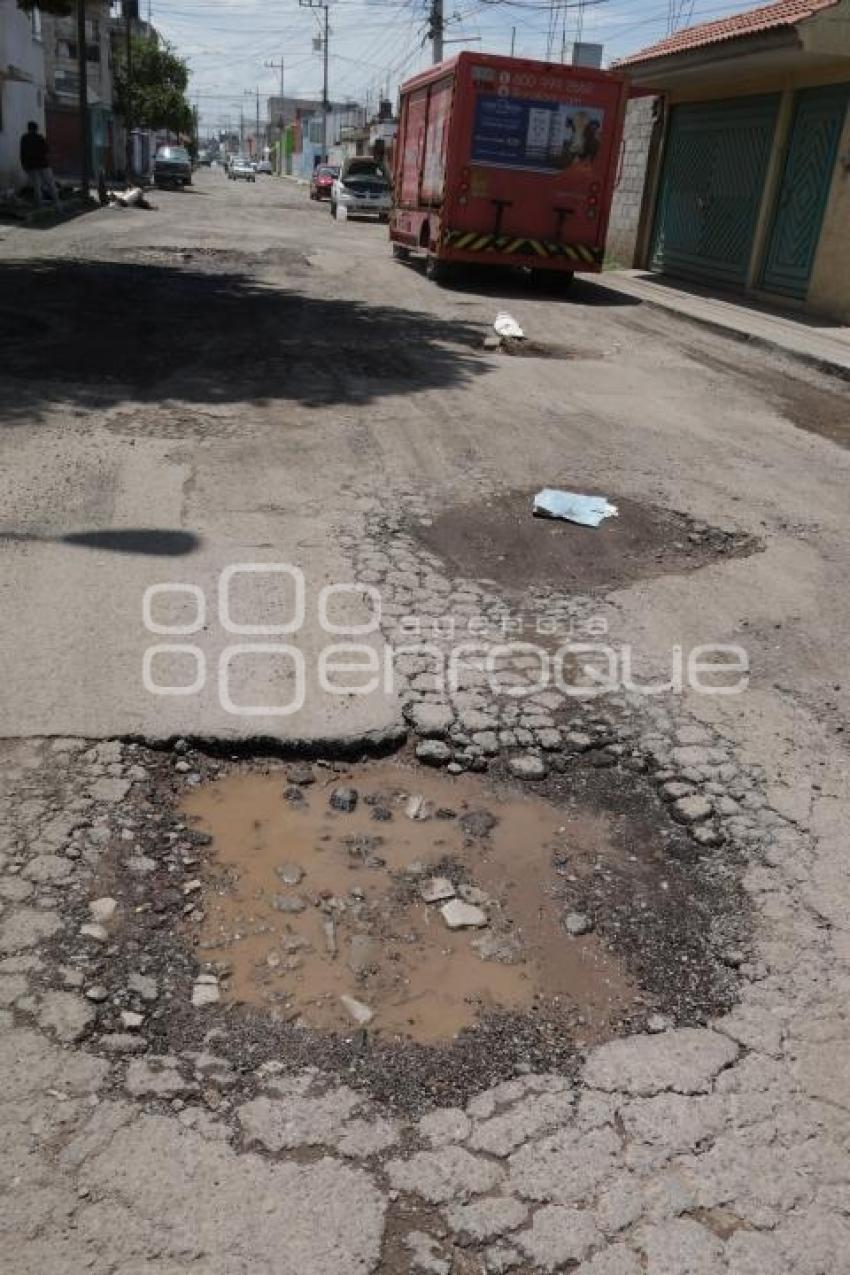 BACHES 