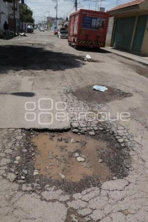 BACHES 