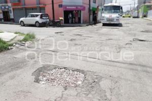 BACHES 