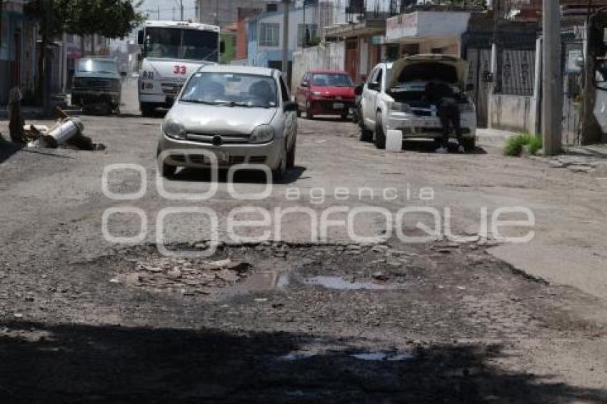 BACHES 