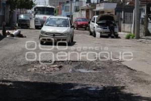 BACHES 