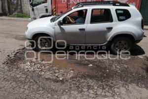 BACHES 