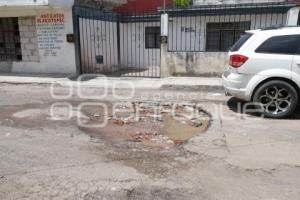 BACHES 