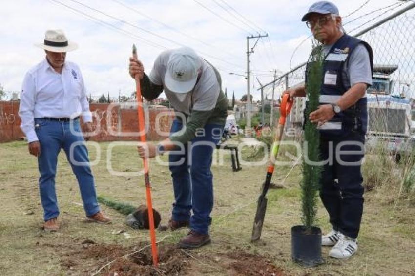 REFORESTACIÓN