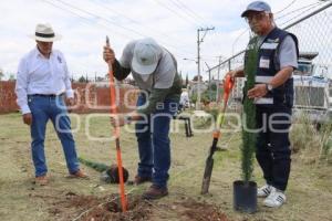 REFORESTACIÓN