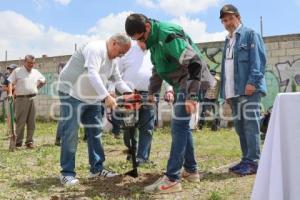 REFORESTACIÓN