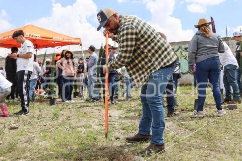 REFORESTACIÓN