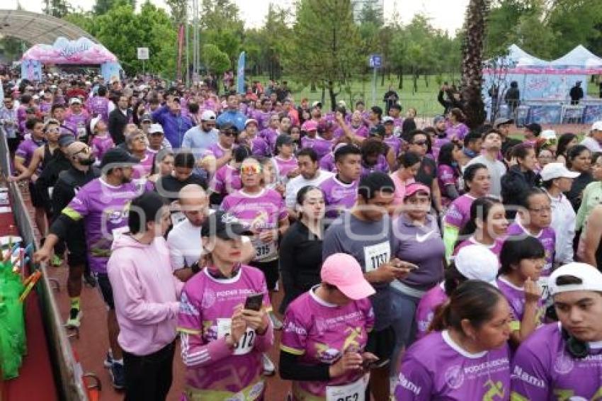 CARRERA DEL ABOGADO