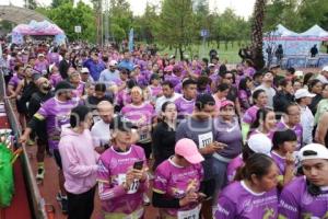 CARRERA DEL ABOGADO