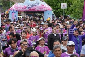 CARRERA DEL ABOGADO