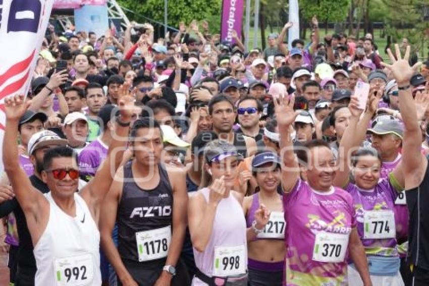 CARRERA DEL ABOGADO