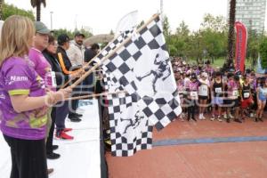 CARRERA DEL ABOGADO